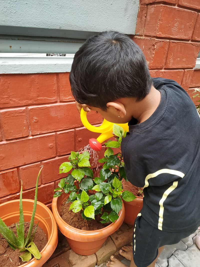 Our Gardening Space